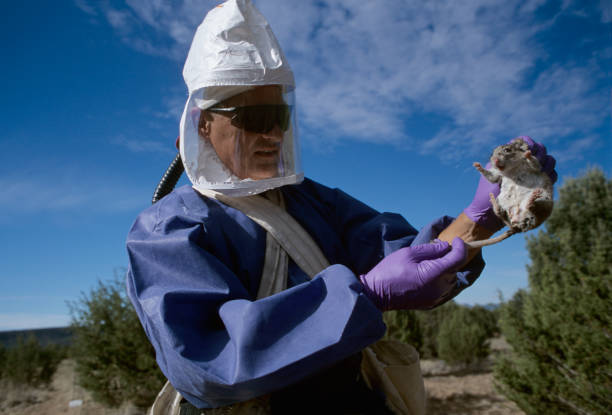 Llegan nuevas jornadas municipales de salud a Los Hornos, Villa Elvira y Parque San Martín