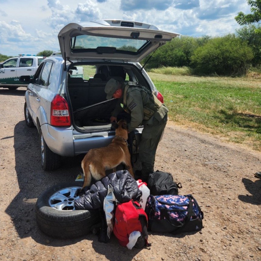 JUSTINA LOS PARÓ. VIAJABAN CON 169 KILOS DE MARIHUANA  OCULTOS EN SU AUTOMÓVIL EN FORMOSA