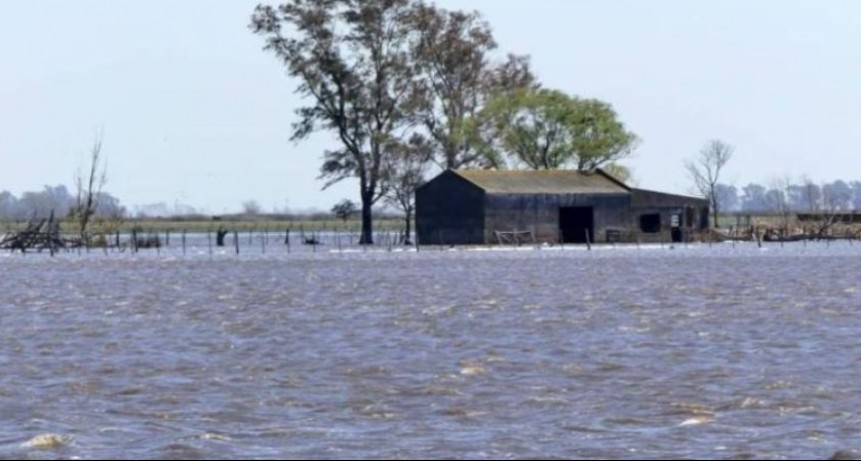 Kicillof declaró en emergencia agropecuaria a 12 distritos bonaerenses