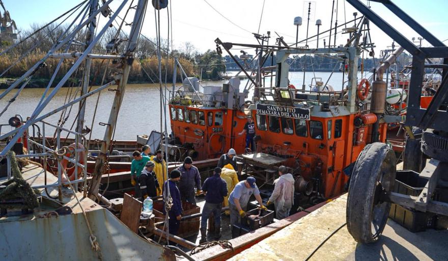 Operativo de descarga de corvina en el Puerto La Plata impulsa el empleo regional